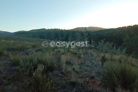 Helårsgrund i Fundao, Castelo Branco, Fundao - € 75.000 | Ref: CB94333MA - foto 6