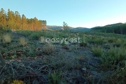 Helårsgrund i Fundao, Castelo Branco, Fundao - € 75.000 | Ref: CB94333MA - foto 8