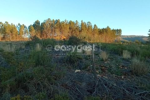 Helårsgrund i Fundao, Castelo Branco, Fundao - € 75.000 | Ref: CB94333MA - foto 9