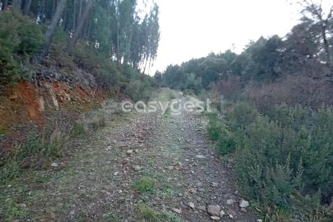 Helårsgrund i Fundao, Castelo Branco, Fundao - € 75.000 | Ref: CB94333MA - foto 12