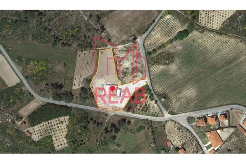 Villa a Aguiar da Beira, Guarda, Aguiar da Beira - € 610.000 | Ref: 125/ 2023 - foto 41