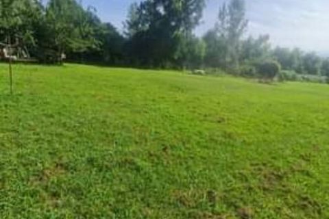 Erhvervsejendom i Seravezza, Lucca, Seravezza - € 57.000 | Ref: 2042 - foto 2