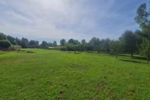 Erhvervsejendom i Seravezza, Lucca, Seravezza - € 57.000 | Ref: 2042 - foto 3