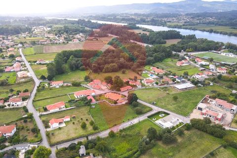 Helårsgrund i Viana do Castelo, Viana do Castelo, Viana do Castelo - € 52.000 | Ref: TER_196 - foto 4