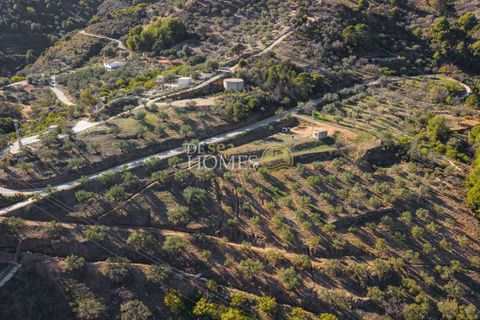 Helårsgrund i Nerja, Malaga, Nerja - € 117.000 | Ref: DH30144 - foto 8