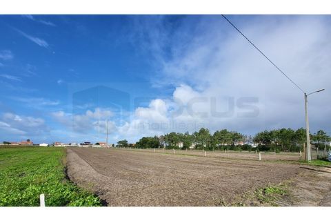 Helårsgrund i Vagos, Aveiro, Vagos - € 325.000 | Ref: AV23/228 - foto 2