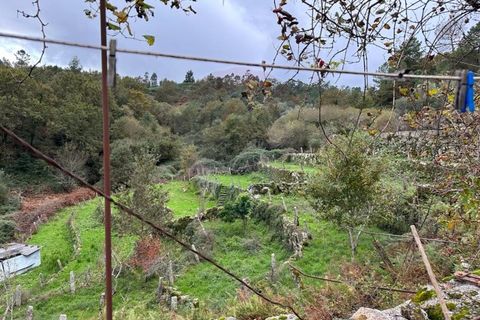 Helårsgrund i Arcos de Valdevez, Viana do Castelo, Arcos de Valdevez - € 60.000 | Ref: 1012-169 - foto 4