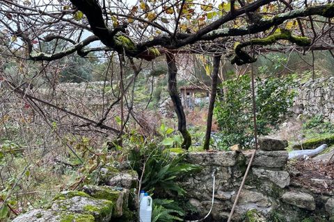 Helårsgrund i Arcos de Valdevez, Viana do Castelo, Arcos de Valdevez - € 60.000 | Ref: 1012-169 - foto 10