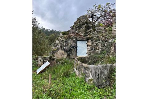 Helårsgrund i Arcos de Valdevez, Viana do Castelo, Arcos de Valdevez - € 60.000 | Ref: 1012-169 - foto 12