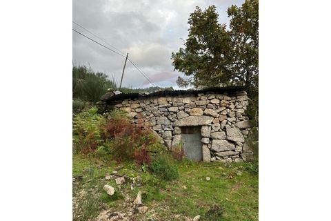 Helårsgrund i Arcos de Valdevez, Viana do Castelo, Arcos de Valdevez - € 60.000 | Ref: 1012-169 - foto 13