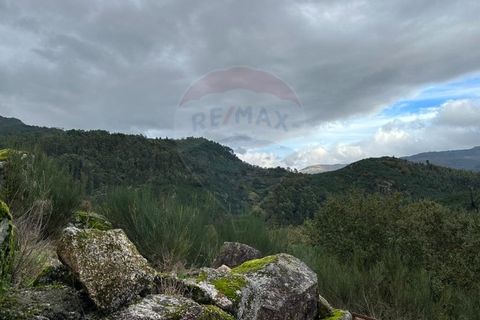 Helårsgrund i Arcos de Valdevez, Viana do Castelo, Arcos de Valdevez - € 60.000 | Ref: 1012-169 - foto 14