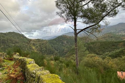 Helårsgrund i Arcos de Valdevez, Viana do Castelo, Arcos de Valdevez - € 60.000 | Ref: 1012-169 - foto 15