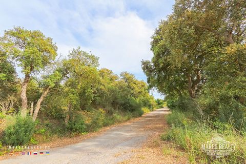 Helårsgrund i Tossa De Mar, Gerona, Tossa De Mar - € 250.000 | Ref: PAR0086 - foto 14