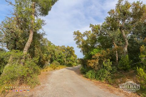 Helårsgrund i Tossa De Mar, Gerona, Tossa De Mar - € 250.000 | Ref: PAR0086 - foto 15