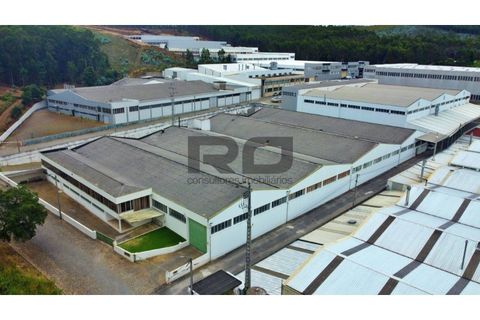 Erhvervsejendom i Trofa, Porto, Trofa - € 2.500.000 | Ref: RO2100 - foto 2