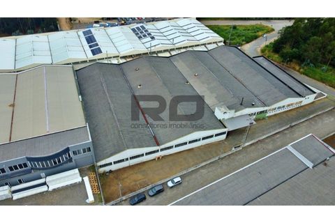 Erhvervsejendom i Trofa, Porto, Trofa - € 2.500.000 | Ref: RO2100 - foto 3