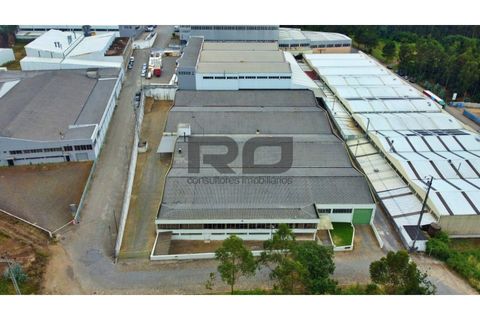 Erhvervsejendom i Trofa, Porto, Trofa - € 2.500.000 | Ref: RO2100 - foto 4
