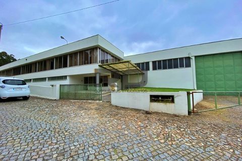 Erhvervsejendom i Trofa, Porto, Trofa - € 2.500.000 | Ref: RO2100 - foto 21
