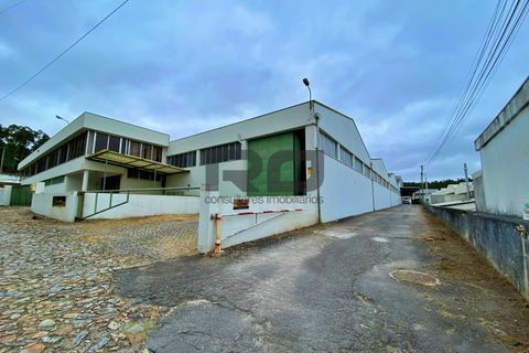 Erhvervsejendom i Trofa, Porto, Trofa - € 2.500.000 | Ref: RO2100 - foto 22