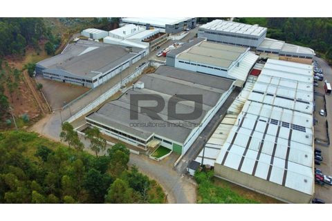 Erhvervsejendom i Trofa, Porto, Trofa - € 2.500.000 | Ref: RO2100 - foto 27