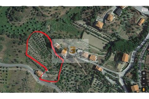 Farm i Torre de Moncorvo, Braganca, Torre de Moncorvo - € 110.000 | Ref: QUI_1410 - foto 2