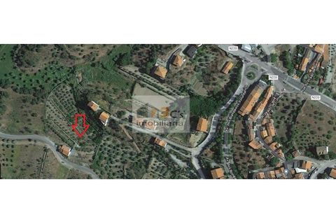 Farm i Torre de Moncorvo, Braganca, Torre de Moncorvo - € 110.000 | Ref: QUI_1410 - foto 3