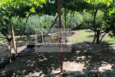 Farm i Torre de Moncorvo, Braganca, Torre de Moncorvo - € 110.000 | Ref: QUI_1410 - foto 4