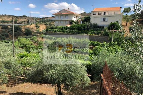 Farm i Torre de Moncorvo, Braganca, Torre de Moncorvo - € 110.000 | Ref: QUI_1410 - foto 9