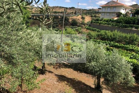 Farm i Torre de Moncorvo, Braganca, Torre de Moncorvo - € 110.000 | Ref: QUI_1410 - foto 1
