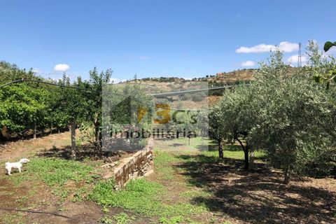 Farm i Torre de Moncorvo, Braganca, Torre de Moncorvo - € 110.000 | Ref: QUI_1410 - foto 13