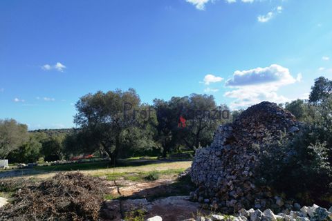 Farm hus i Ostuni, Brindisi, Ostuni - € 95.000 | Ref: 172693 - foto 10