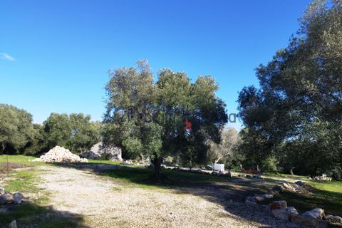 Farm hus i Ostuni, Brindisi, Ostuni - € 95.000 | Ref: 172693 - foto 16