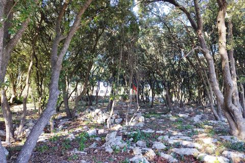Farm hus i Ostuni, Brindisi, Ostuni - € 95.000 | Ref: 172693 - foto 13