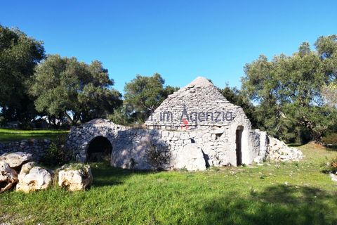Farm hus i Ostuni, Brindisi, Ostuni - € 95.000 | Ref: 172693 - foto 3
