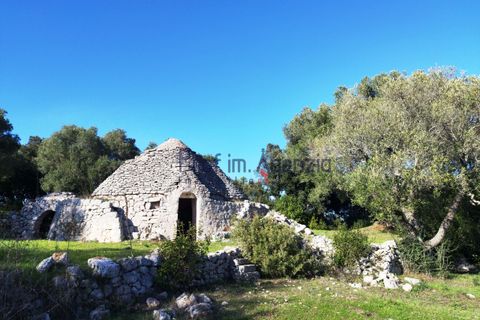 Farm hus i Ostuni, Brindisi, Ostuni - € 95.000 | Ref: 172693 - foto 5