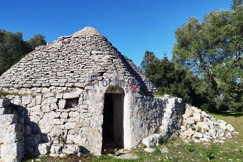 Farm hus i Ostuni, Brindisi, Ostuni - € 95.000 | Ref: 172693 - foto 4