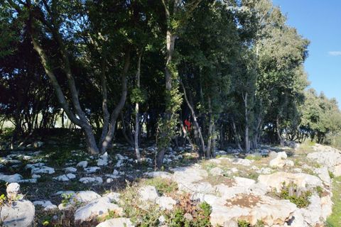 Farm hus i Ostuni, Brindisi, Ostuni - € 95.000 | Ref: 172693 - foto 14