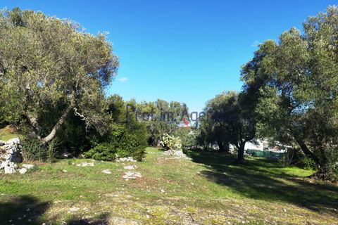 Farm hus i Ostuni, Brindisi, Ostuni - € 95.000 | Ref: 172693 - foto 15