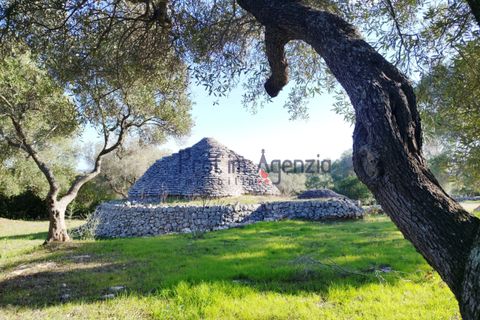 Farm hus i Ostuni, Brindisi, Ostuni - € 95.000 | Ref: 172693 - foto 6
