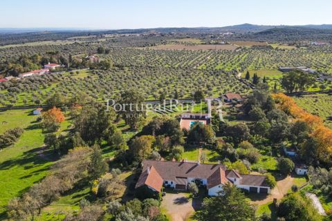 Farm i Arcos, Evora, Arcos - € 1.385.000 | Ref: 241-4 - foto 5