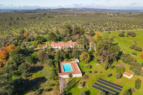 Farm i Arcos, Evora, Arcos - € 1.385.000 | Ref: 241-4 - foto 6