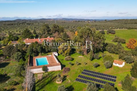 Farm i Arcos, Evora, Arcos - € 1.385.000 | Ref: 241-4 - foto 7