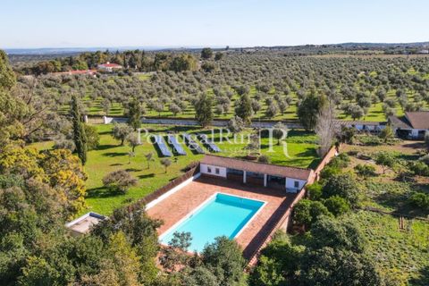 Farm i Arcos, Evora, Arcos - € 1.385.000 | Ref: 241-4 - foto 8