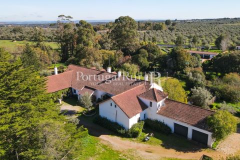 Farm i Arcos, Evora, Arcos - € 1.385.000 | Ref: 241-4 - foto 10