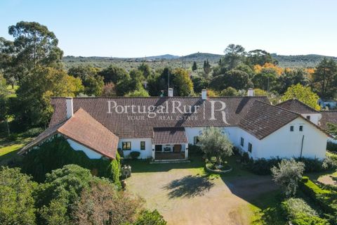 Farm i Arcos, Evora, Arcos - € 1.385.000 | Ref: 241-4 - foto 9