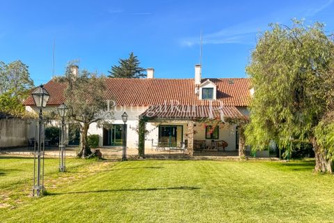 Farm i Arcos, Evora, Arcos - € 1.385.000 | Ref: 241-4 - foto 11