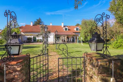 Farm i Arcos, Evora, Arcos - € 1.385.000 | Ref: 241-4 - foto 3