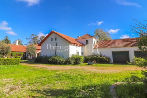 Farm i Arcos, Evora, Arcos - € 1.385.000 | Ref: 241-4 - foto 49