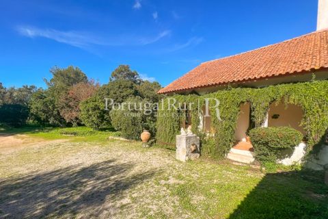 Farm i Arcos, Evora, Arcos - € 1.385.000 | Ref: 241-4 - foto 50
