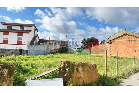 Helårsgrund i Rio Maior, Santarem, Rio Maior - € 55.000 | Ref: 8.24 - foto 27